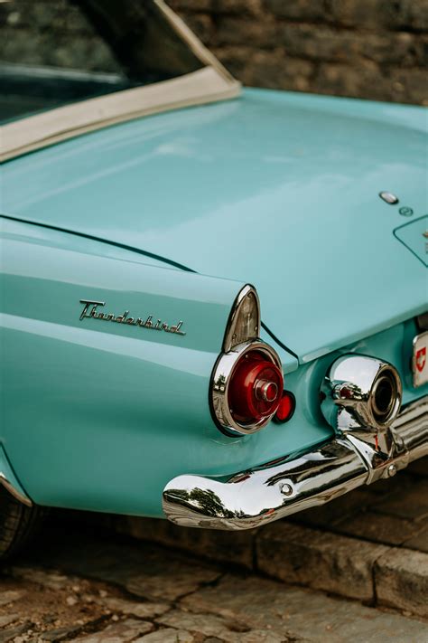 Ann+Rohmer+Photos Photos, Download The BEST Free Ann+Rohmer+Photos