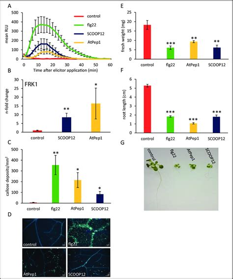 Defense Responses Induced By SCOOP12 A Production Of Reactive Oxygen