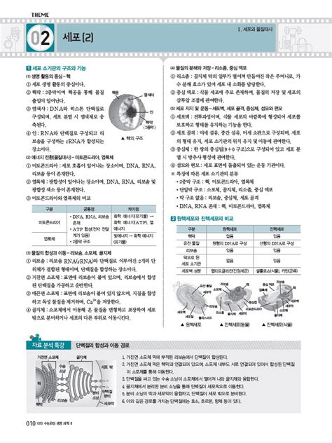 알라딘 미리보기 Ebs 수능완성 과학탐구영역 생명과학 2 2019년