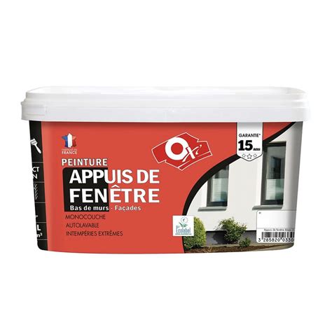 Peinture Appuis De Fen Tre Oxi Blanc Pas Cher