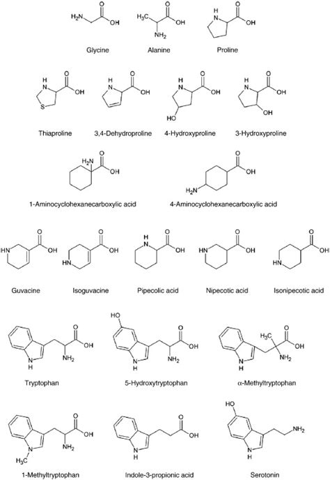 Structures Of Amino Acids And Derivatives See PubChem Website At