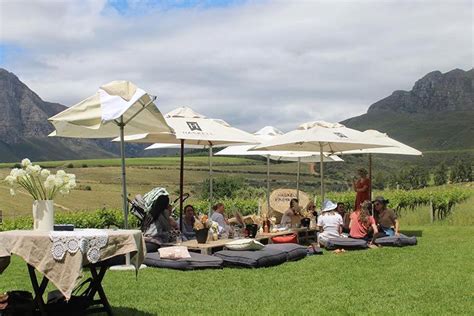 The 10 Best Wine Farm Destinations in Stellenbosch | Stellenbosch, Farm ...