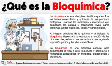 Que Es La Bioqu Mica Definici N De Bioqu Mica