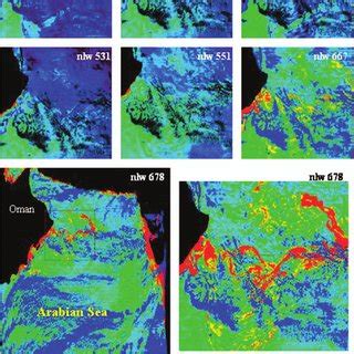 Irs P Ocm Derived Chlorophyll Images Off The Oman Coast And Gulf Water