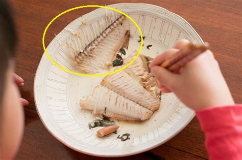 子どももきれいに完食！ 大人でも苦手な魚の食べ方はこう教える！ Andあんふぁん