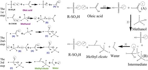 Reaction mechanism of esterification process by SO3H functionalized ...