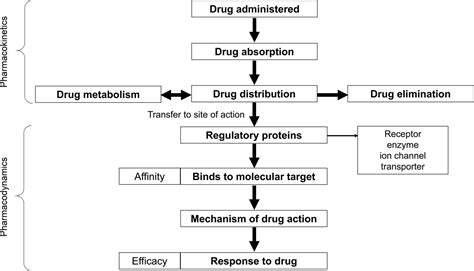 Pharmacology Part Introduction To Pharmacology And Pharmacodynamics