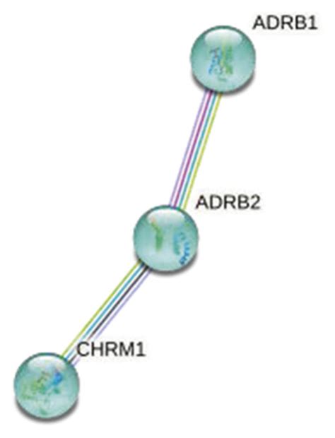 5 clusters in the PPI network by using MCL. The 5 clusters contain 127 ...