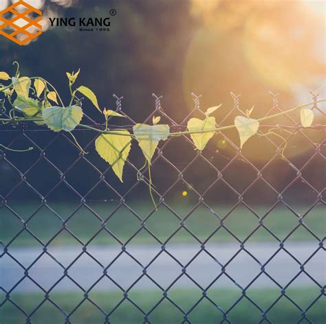 PVC Coated Galvanized Chain Link Fence Cyclone Diamond Farm Fence