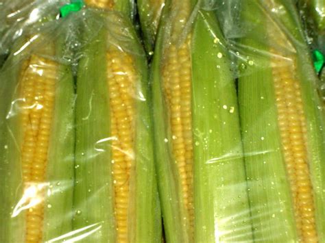 Fresh Corncrystal Cornmalaysia Price Supplier 21food