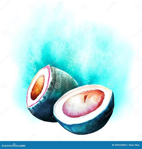 Watercolor Illustration Of A Ripe Coconut Hand Drawn Watercolor