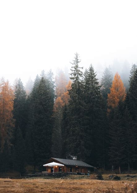 Premium Photo | Cozy cottage among autumn nature