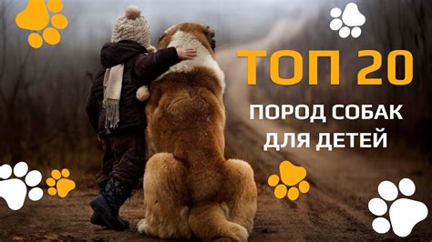 Топ-20 пород собак для детей - YouTube