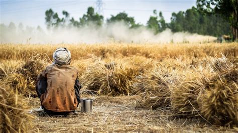 Les propositions du mouvement mondial du commerce équitable Commerce