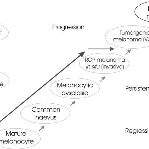 Melanoma development and progression. | Download Scientific Diagram