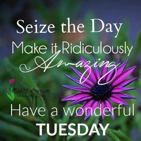 Seize The Day Tuesday Quotes Good Morning Happy Tuesday Quotes