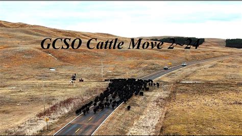 GCSO Cattle Move 2 24 Featuring The DJI Air 3 Fly With Mike YouTube