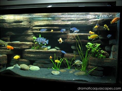 DIY Rock Wall Background Aquarium Backgrounds Aquarium Fish Cichlid