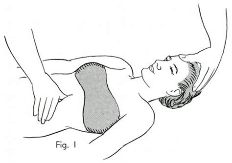 Polarity Therapy Volume 2 Book 4 Chart 09