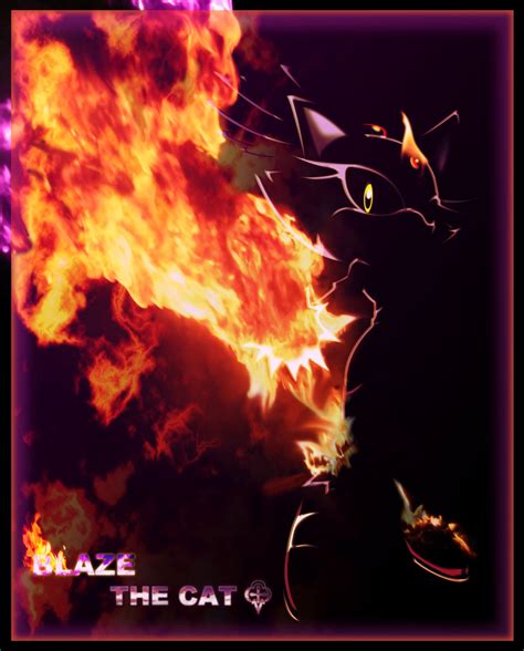 Blaze the fire cat - Blaze the Cat Photo (14165877) - Fanpop