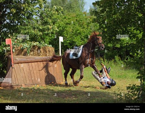 Horse Riding Accidents