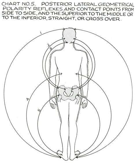 Polarity Therapy Charts 1 6 11 13 Polarity Therapy Polarity