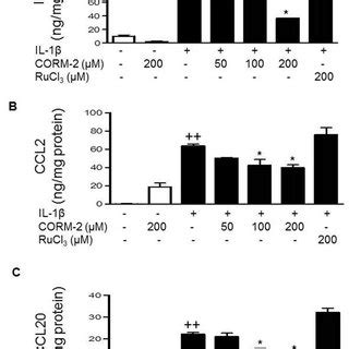 Effect Of Corm On Oxidative Stress Levels In Oa Synoviocytes Cells