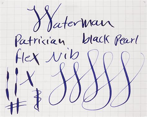 Waterman Patrician Fountain Pen Set Nacre Flexible Fine Nib Hard To