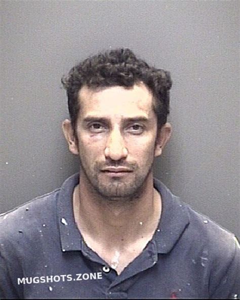 Guevara Rodriguez Marco Tuliio Galveston County Mugshots Zone