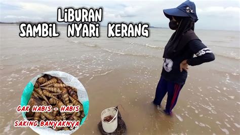 Cara Kami Mencari Kerang Cuco Dalam Air Berlumpur Di Pantai Cari