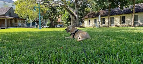 Lummus Park - Top Dog Parks