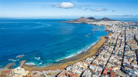 Woman dies after shark attack near Gran Canaria | World News | Sky News