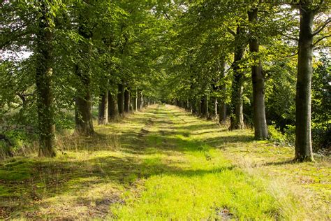 Landgoed Coelhorst Vvv Amersfoort