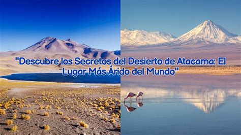 Descubre Los Secretos Del Desierto De Atacama El Lugar M S Rido Del