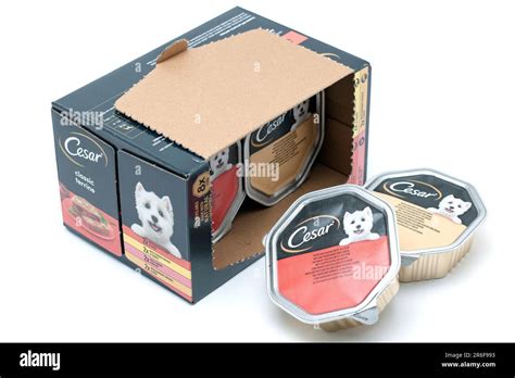 Caja De 8 Paquete De Comida Completa Para Perros Cesar Classic Terrine