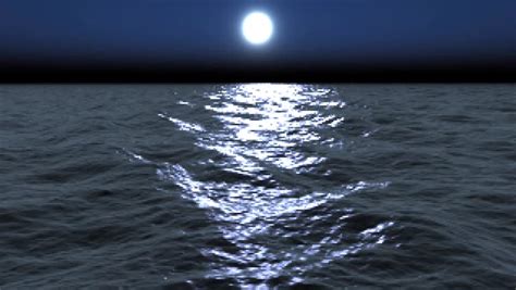 Moonlight Reflection Over Wide Ocean Stock Footage Video 219298 Shutterstock