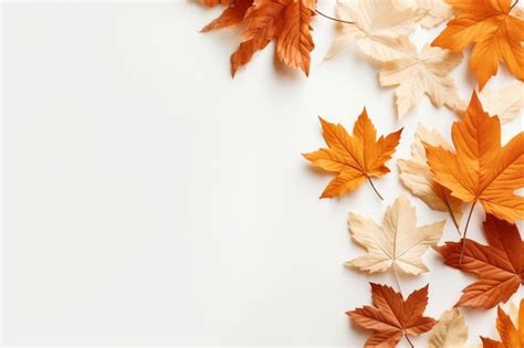 Premium AI Image | Autumn leaves on a white background with a white ...