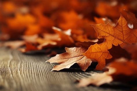 4k Autumn Wallpaper Images - Free Download on Freepik