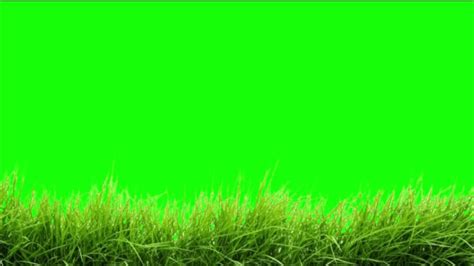 Green Screen Grass Chroma Key Graphics For Videos No Copyright Free To Use Youtube