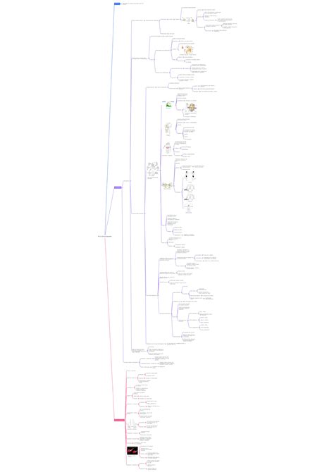 SOLUTION Moore Anatomy JOINTS Mind Map SPANISH Studypool