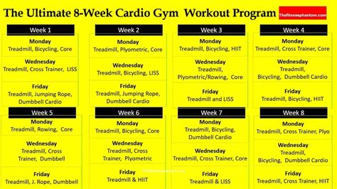 Ultimate 8 Week Cardio Workout Plan For Gym Goers With Pdf