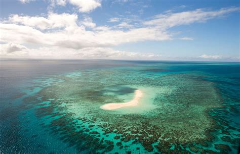 Le Wwf Et La Grande Barrière De Corail