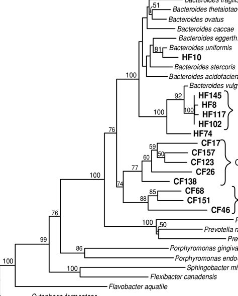 Phylogenetic Relationships Among Partial S Rdna Sequences Of Clones