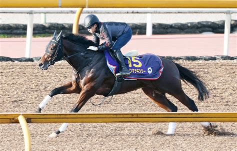 【朝日杯fs】2億2000万円馬ダノンマッキンリーは4枠8番 藤原調教師「期待している馬」 スポーツ報知