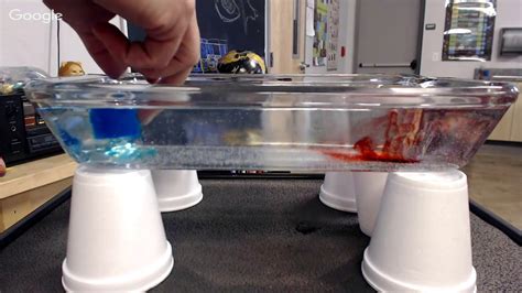 Convection Currents Demo 2 Youtube