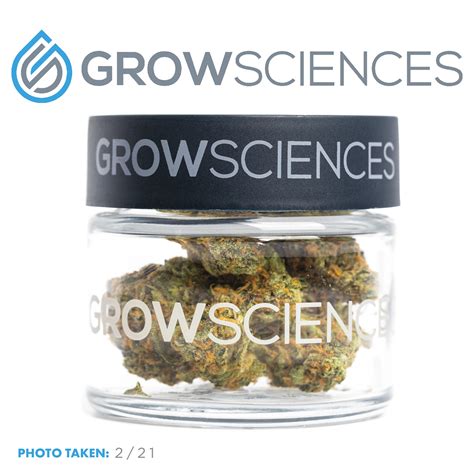 Rainbow Belts Grow Sciences Jane