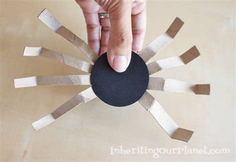 Toilet Paper Roll Spider - DIY Inspired