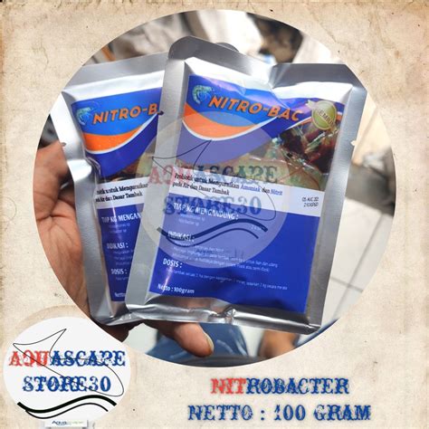 Jual Probiotik Nitrobacter Nitrosomonas 100gr Nitrobacter Bakteri