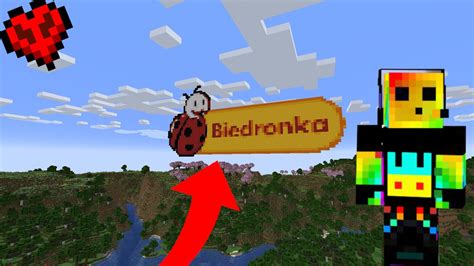 Historia Tego Jak Zbudowa Em Ogromne Logo Biedronki W Minecraft