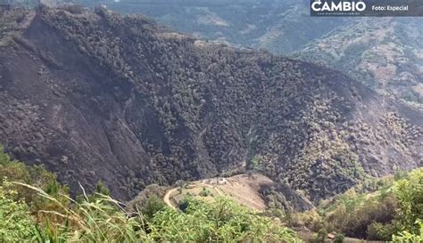 El Incendio Forestal En Zacatl N Est Controlado Un Por Ciento